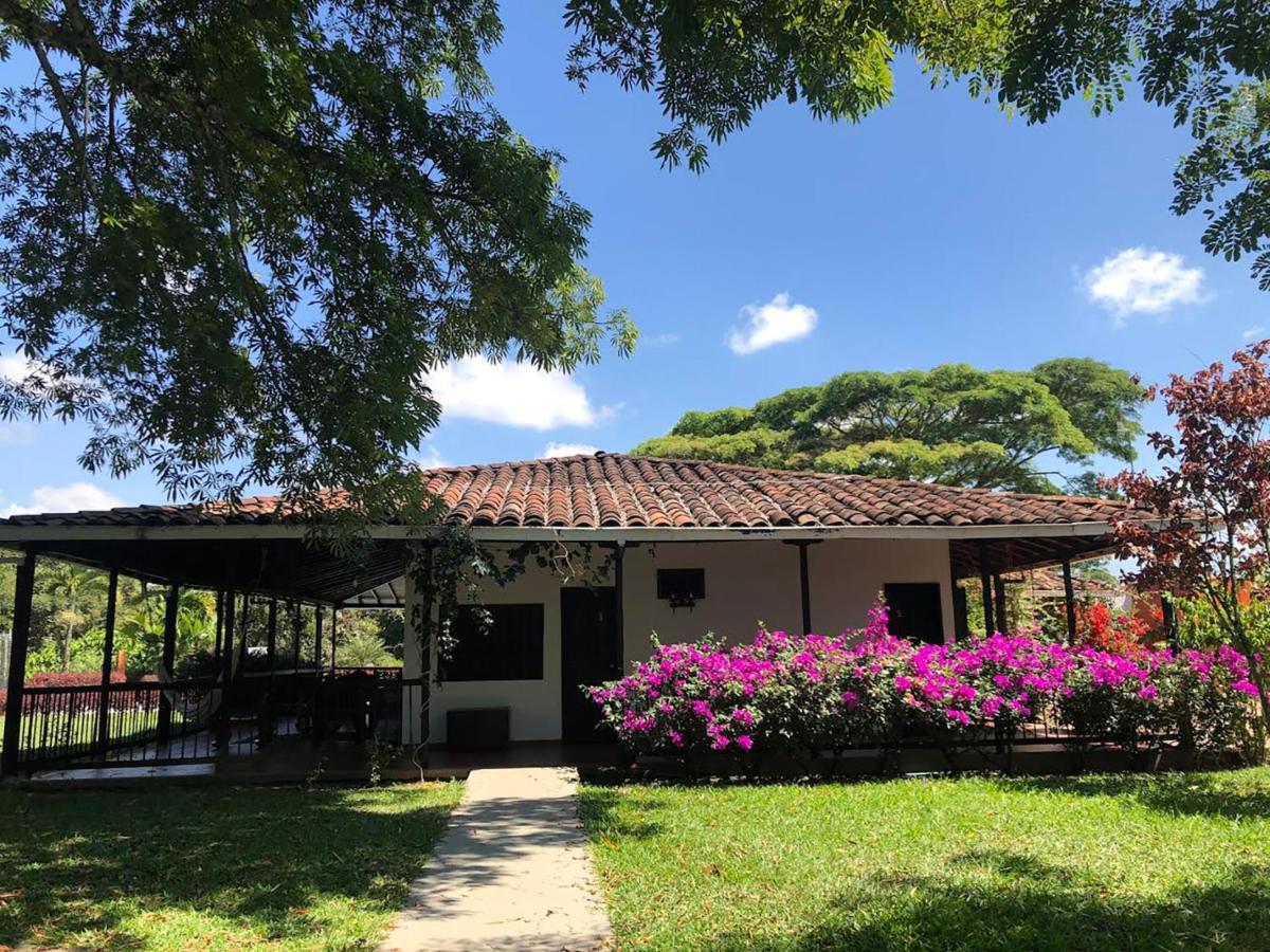 Muchosur Hotel