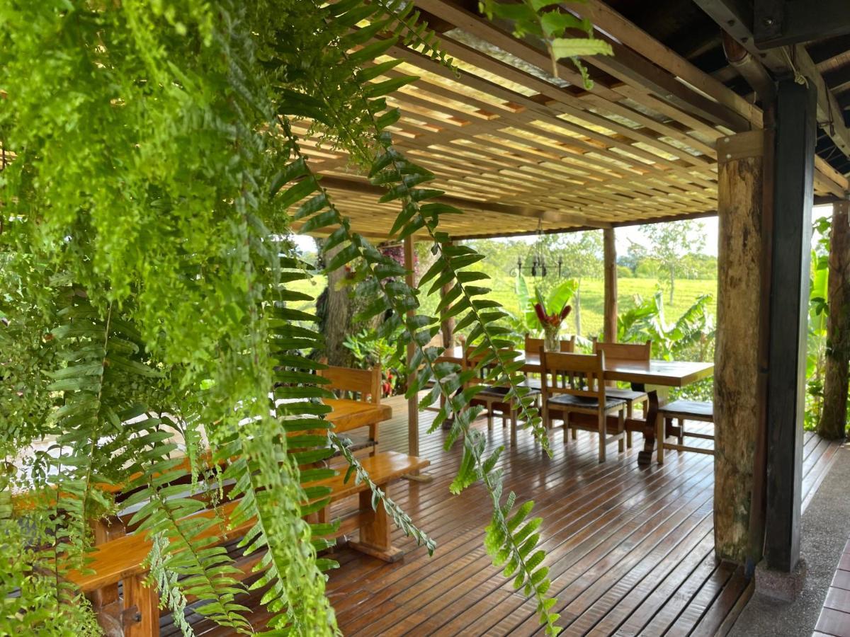 Hotel Muchosur 3*