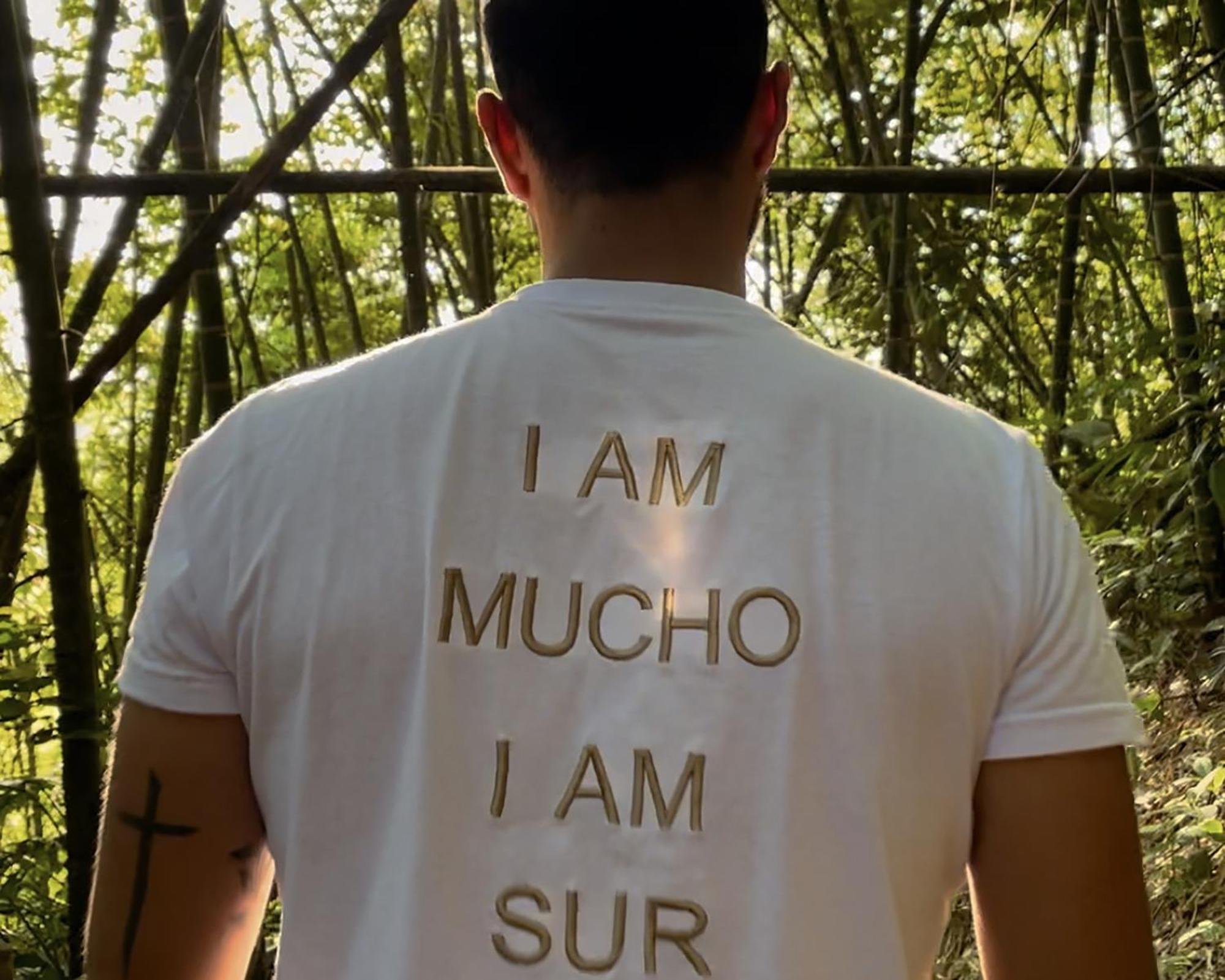 Hotel Muchosur